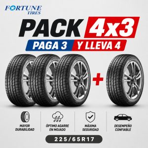 Pack 4x3 Neumáticos Fortune 225/65R17 102T FSR-303